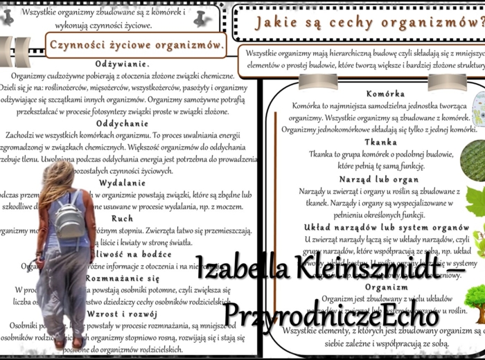 Sketchnotka/notatka/streszczenie/wklejka/ściąga dla ucznia i nauczyciela. Temat „Jakie są cechy organizmów?” w pdf. Biologia 5 dział „Organizacja i chemizacja życia”. Wykonana na podstawie podręcznika z wydawnictwa WSiP.