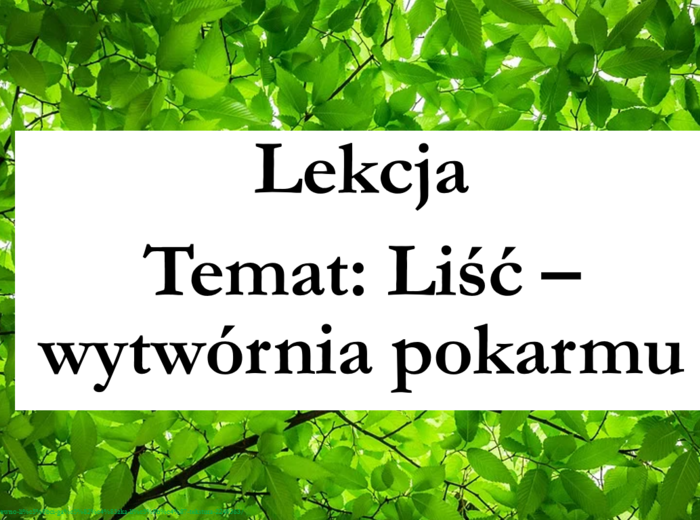 klasa 5 - Liść - prezentacja