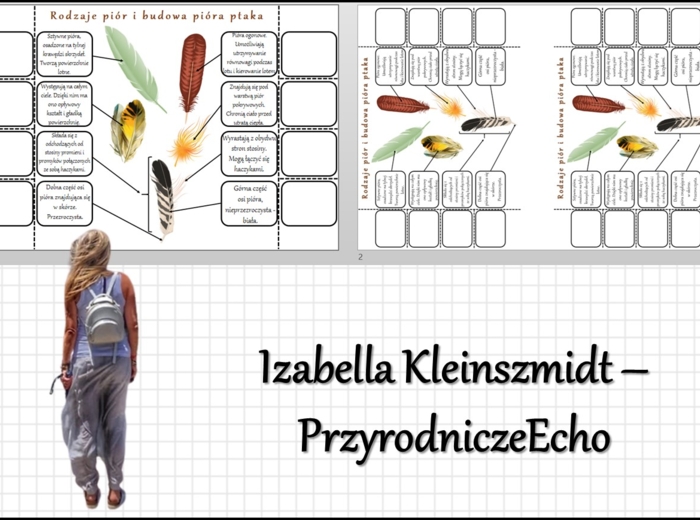 Notatka okienkowa „Rodzaje i budowa pióra” w pdf. „Ptaki-kręgowce zdolne do lotu”, Biologia 6 dział „Kręgowce stałocieplne”.
