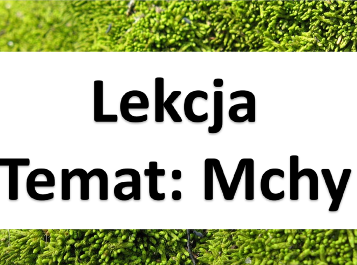 Klasa 5 - Zestaw "Mszaki"