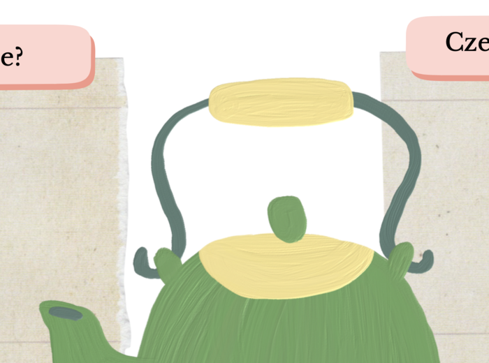 Czajnik - Zbigniew Rossa - zadanie wstępne