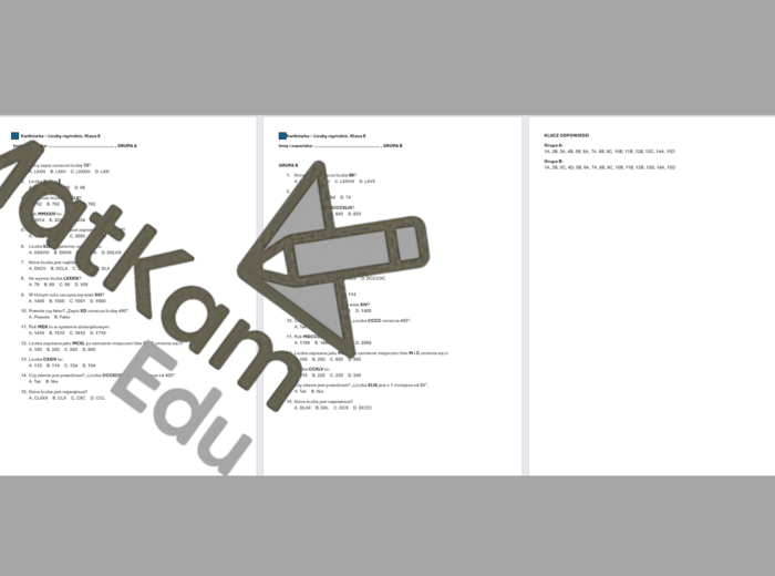 Kartkówka. Klasa 8. Liczby rzymskie