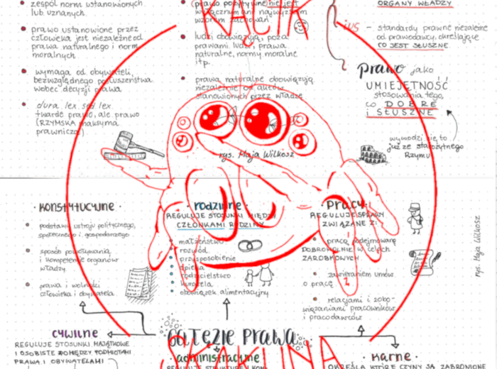 Definicja prawa + gałęzie prawa - HISTORIA I TERAŹNIEJSZOŚĆ/WIEDZA O SPOŁECZEŃSTWIE