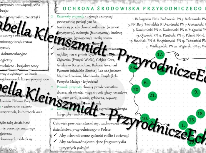 Sketchnotka - notatka „Ochrona środowiska przyrodniczego Polski” wykonana w power point do edycji. Geografia 7; „Środowisko przyrodnicze Polski”