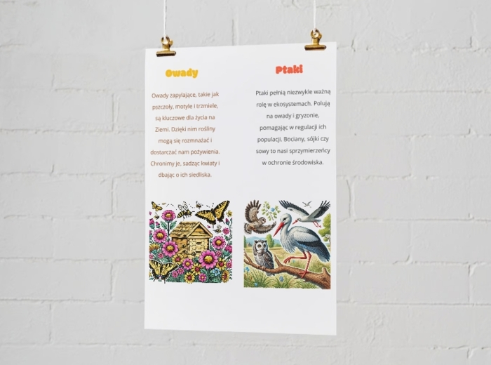 Plakaty edukacyjne. Życie w lesie. Wody. Owady. Ptaki. Nie śmieć w lesie. Każda kropla jest cenna. Ratujmy drzewa.