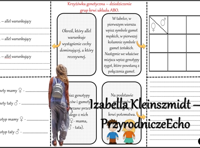 Notatka okienkowa/stacja zadaniowe/notatka/notatka graficzna/karta pracy/sketchnotka „Dziedziczenie grupy krwi”, „Jak zapisać krzyżówkę genetyczną?” w pdf. Biologia 8 dział „Genetyka”. Materiał wykonany na podstawie podręcznika z wydawnictwa Nowa Era – n