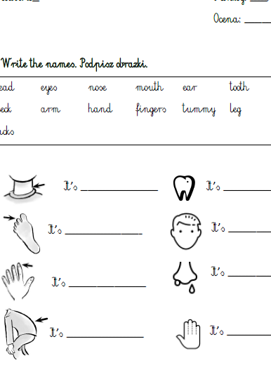 Kartkówki Bugs Team 2 unit 4 i 5