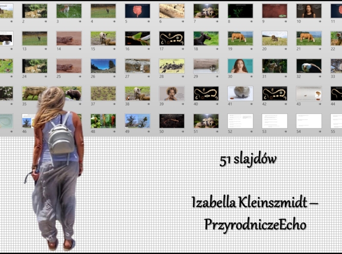 Prezentacja multimedialna w power point „Cudzożywność”. Biologia 5. Dział „Budowa i czynności życiowe organizmów”. Materiał wykonany na podstawie podręcznika z wydawnictwa Nowa Era – nowość 2024/2025.