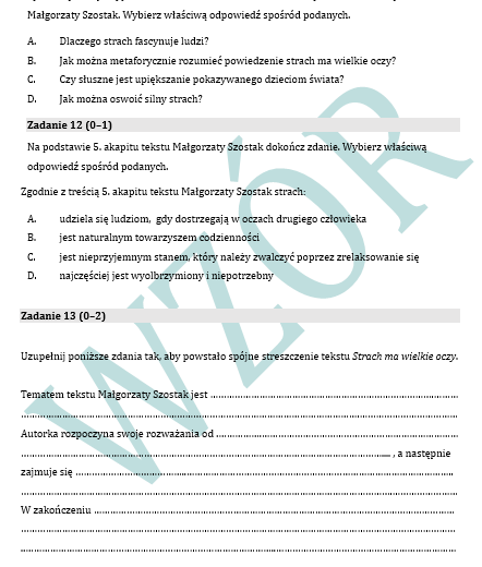 PRÓBNY EGZAMIN Z JĘZYKA POLSKIEGO JUŻ DLA SZÓSTOKLASISTY - CHŁOPCY Z PLACU BRONI