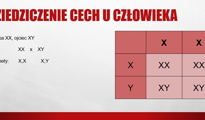 Dziedziczenie płci u człowieka