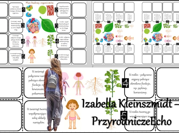 Notatka okienkowa/stacja zadaniowe/notatka/notatka graficzna/karta pracy/sketchnotka „Plan budowy organizmów”, „Biologia jako nauka” w pdf. Biologia 5 dział „Biologia – nauka o życiu”. Materiał wykonany na podstawie podręcznika z wydawnictwa Nowa Era – n
