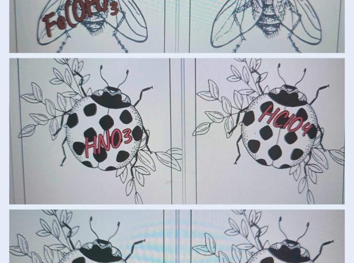 WODOROTLENKI I KWASY - gra dydaktyczna