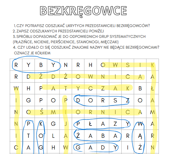 Podsumowanie - bezkręgowce i wprowadzenie do kręgowców