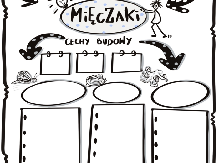 Klasa 6 Biologia "Mięczaki", karta pracy do uzupełnienia