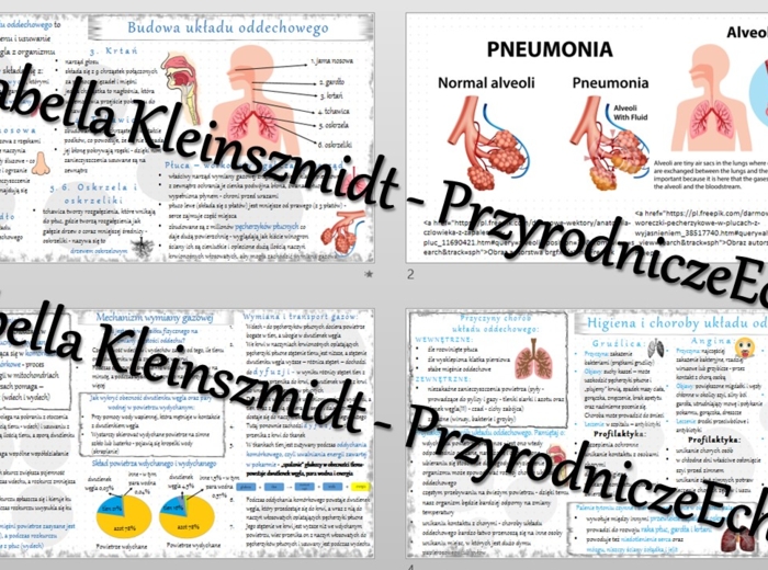 Zestaw sketchnotek – notatek do całego działu „Układ oddechowy” wykonanych w power point do edycji. Biologia 7
