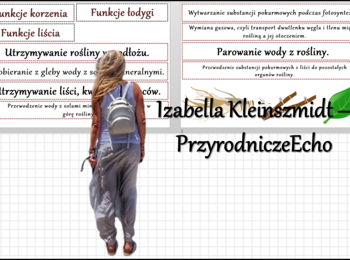 Materiał do zalaminowania/praca w grupach/stacje zadaniowe/układanka/puzzle „Funkcje korzenia, łodygi i liścia"” w pdf. Biologia 5, dział „Tkanki i organy roślinne ”.