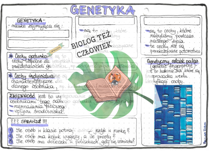 Genetyka (cechy dziedziczne, niedziedziczne, gatunkowe, indywidualne, zmienność) – szarość
