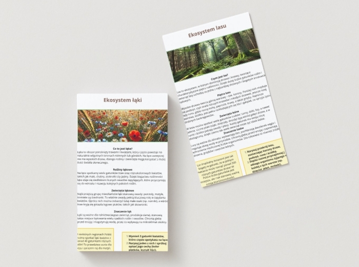 Ekosystemy (łąka, las, jezioro)