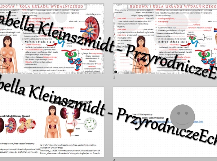 Minizestaw na temat „Budowa i działanie układu wydalniczego” – sketchnotka + karta pracy w power point + gratisowy link do prezentacji multimedialnej niekomercyjnej wykonanej w genial.ly do indywidualnego pobrania i użycia do celów niekomercyjnych. Biolo