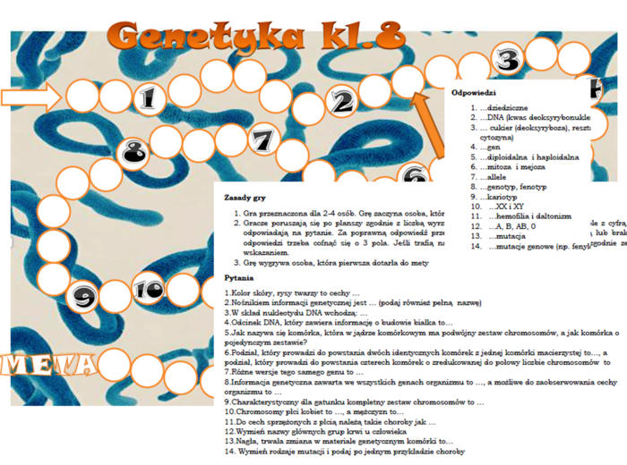 Genetyka- gra planszowa dla klasy 8