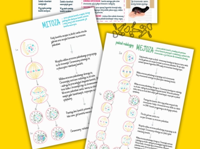 Podziały komórkowe – sketchnotka – wklejka | Biologia | klasa 8