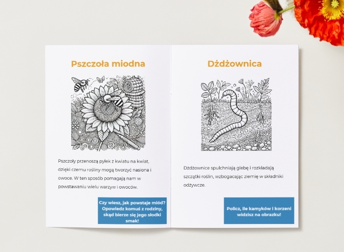 Kolorowanki z elementami edukacyjnymi. Zwierzęta. Ciekawostki. Rola zwierząt w ekosystemie