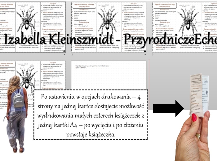 Broszurka/notatka/sketchnotka/wklejka/ściąga dla ucznia/przypomnienie dla nauczyciela w pdf. Biologia 6 „Stawonogi i mięczaki” – „Pajęczaki – stawonogi, które mają cztery pary odnóży”.