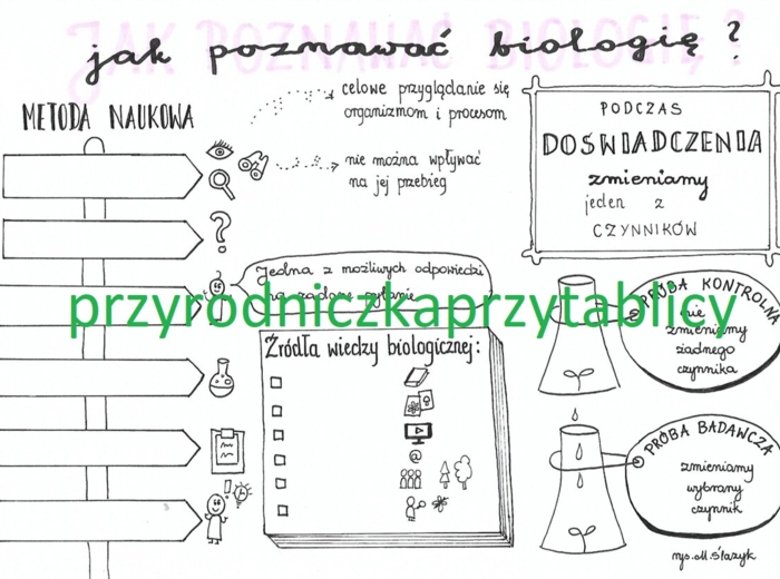 Biologia klasa 5. Jak poznawać biologię? 3 karty