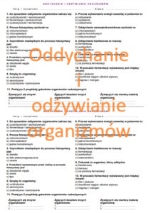 Kartkówka - oddychanie i odżywianie organimów