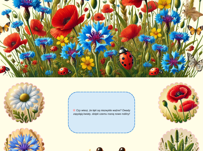 Plansze edukacyjne o grzybach i roślinach