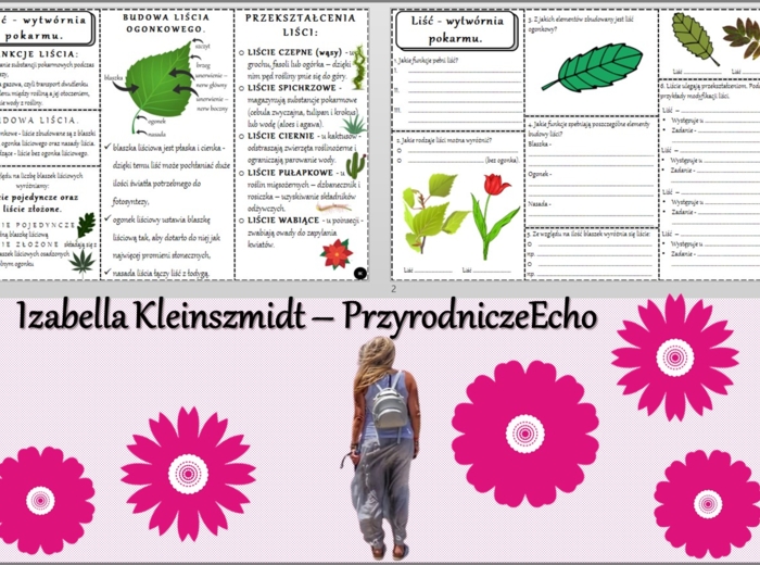 Minizestaw do tematu „Liść - wytwórnia pokarmu” – sketchnotka + karta pracy w pdf + gratisowy link do prezentacji multimedialnej niekomercyjnej wykonanej w genial.ly do indywidualnego pobrania i użycia do celów niekomercyjnych. Biologia 5, Dział „Tkanki 