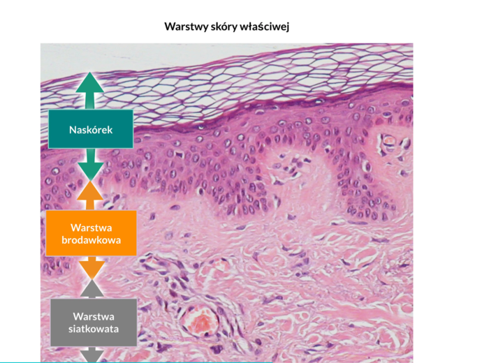 KLASA 3 rozszerzenie - PAKIET NA CAŁY ROK