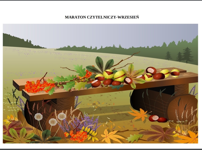 Maraton czytelniczy - zestaw na cały rok