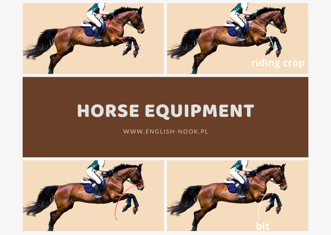 Horse / equestrian equipment. Jeździectwo