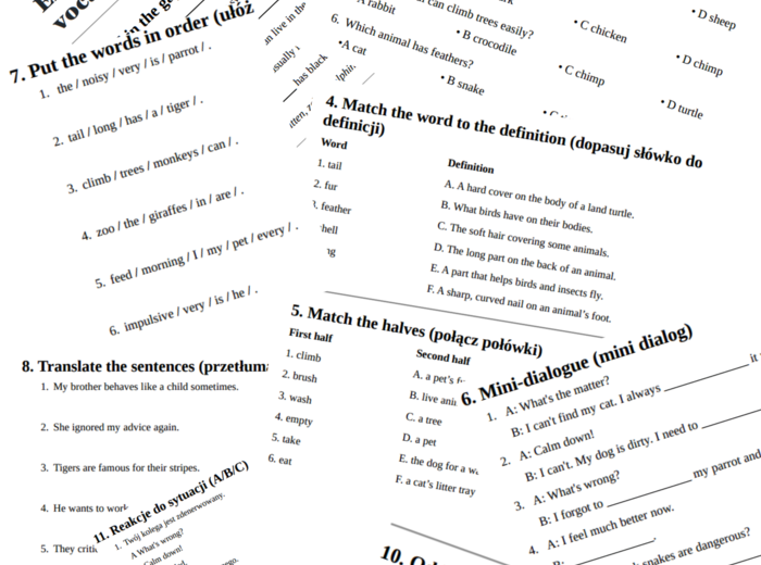 English Class A2+ – Unit 3 – vocabulary revision