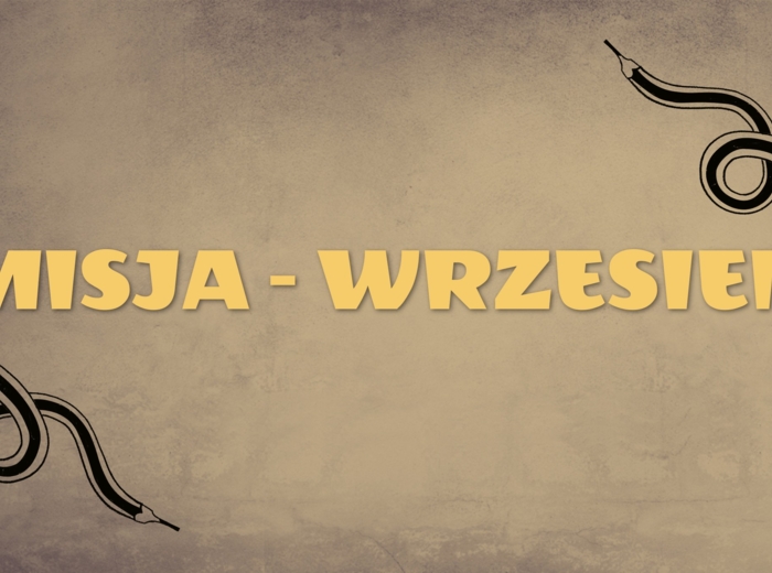 Polonistyczne stacje zadaniowe. Ortografia, części mowy, środki stylistyczne.