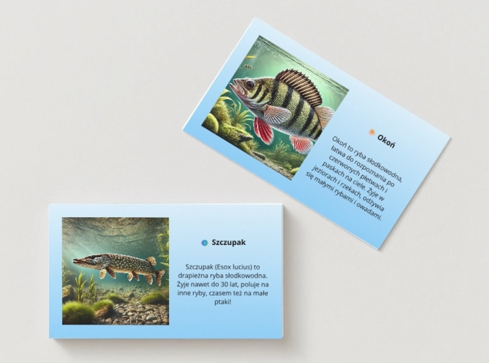 Ekologiczna przygoda. Ekosystem wodny. Ekosystem leśny. Gra MEMORY. Puzzle. QUIZ. [PAKIET]