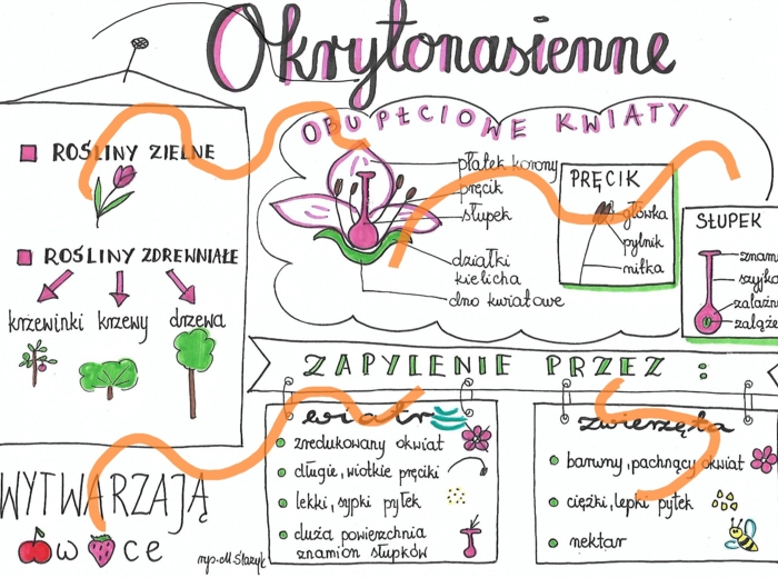 Okrytonasienne