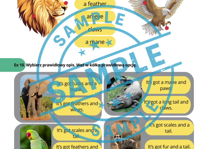 Stars and Heroes 3 - unit 2 - Animal Friends - Karty Pracy