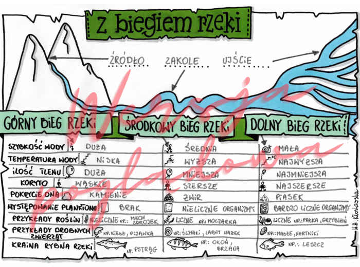 Z biegiem rzeki -przyroda kl. 4 -wypełniona karta pracy