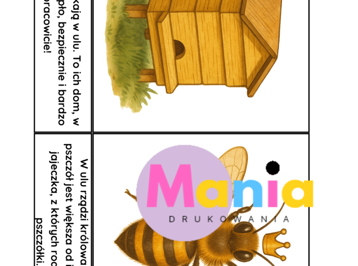 Światowy Dzień Pszczół