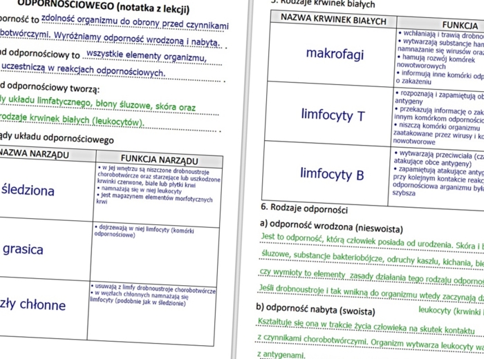 Budowa i funkcjonowanie układu odpornościowego (gotowa notatka)