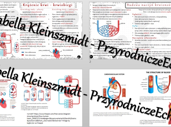 Sketchnotka - notatka „Krążenie krwi” wykonana w power point do edycji. Biologia 7; „Układ krążenia”