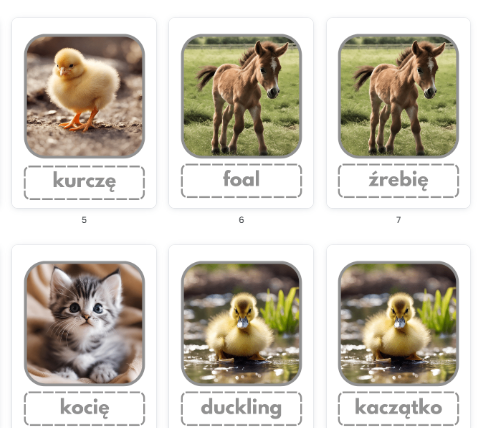 Baby animals- karty obrazkowe