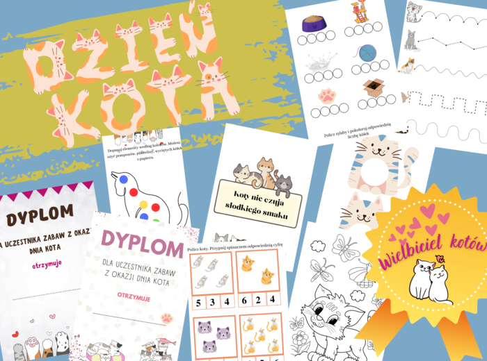 PAKIET DZIEŃ KOTA