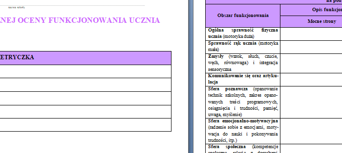 Dokument IPET oraz WOPFU