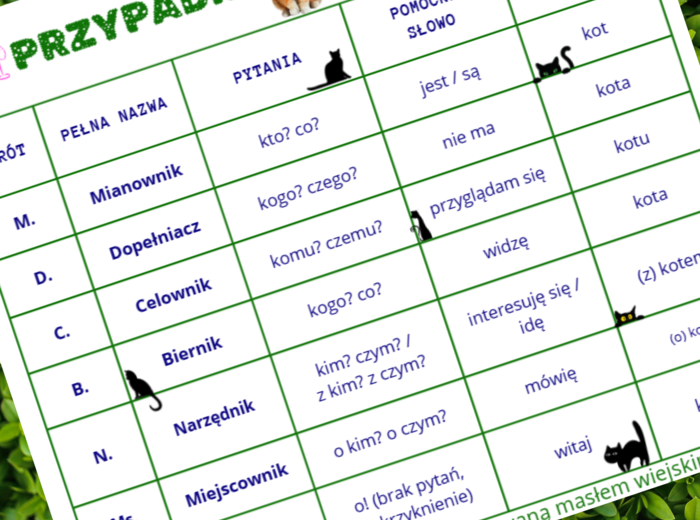 Przypadki - wklejka do zeszytu