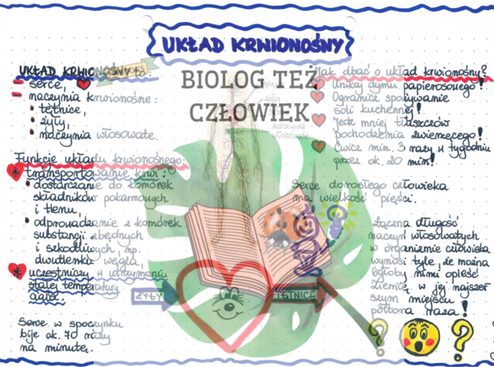 PRZYRODA - Ciało człowieka - Układ krwionośny - kolor