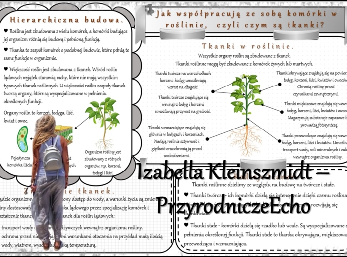 Zestaw sketchnotek/notatek/streszczeń/wklejek/ściąg dla ucznia i nauczyciela w pdf. Biologia 5 dział „Tkanki i organy roślinne”. Notatki zostały wykonane na podstawie podręcznika z wydawnictwa WSiP.