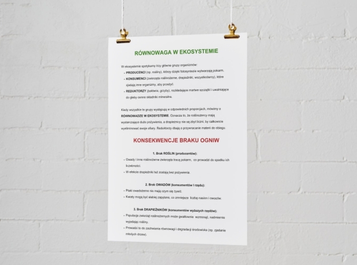 Łańcuchy i sieci pokarmowe. Znaczenie równowagi w ekosystemie. Łańcuch pokarmowy